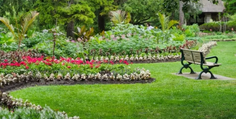 Landscaping Services