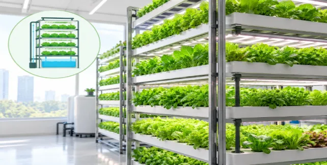 What is Vertical Farming?